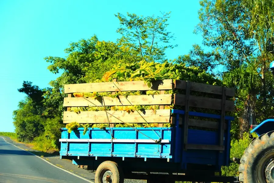 Reputable Hauling Services Sandstone, WV Reputable Hauling Services Sandstone, WV